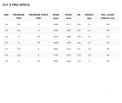 Neil Pryde Fly II Wing 2024 -Surf Discounter neil pryde fly ii wing 20245